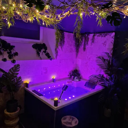 Appartement Evasion Tropicale Jungle *